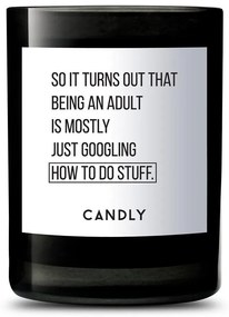 Candly - illatgyertya szójaviaszból So it turns out that being an adult is mostly just googling hot to do stuff