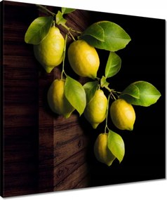 Vászonkép 50x50 Természetes citrom Citrus