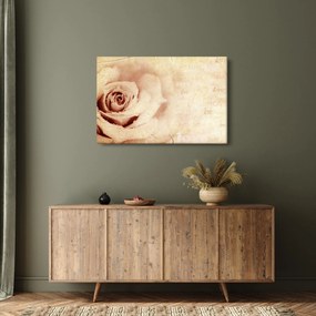 Kép - Rózsa virág szerelmeseknek (90x60 cm)