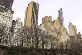 Poszter 91,5x61cm Központi park Manhattan panorámával 3, Assaf Frank