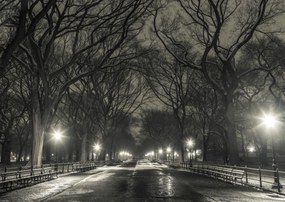 Poszter 59,4x42cm Éjszakai kilátás a Central Parkon át vezető útra, Assaf Frank