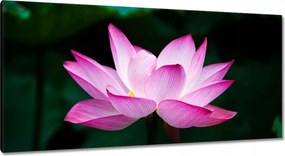 Vászonkép 115x55 Lótuszvirág