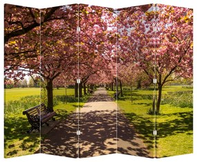 Paraván - cseresznye ültetvény (210x170 cm)