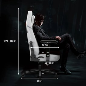Fehér Gamer Szék Diablo X.Eye Prime Ghosted White