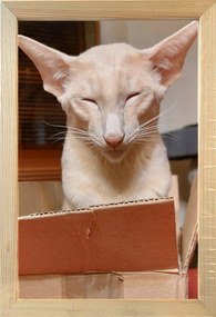 Klasszikus képkeret falra és asztalra, 20x30 cm, fa