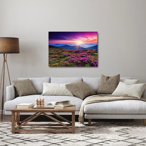 Kép - Hegyi virágzó táj (70x50 cm)