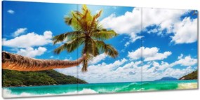 Vászonkép 210x100 Paradicsomi tengerpart pálmafákkal