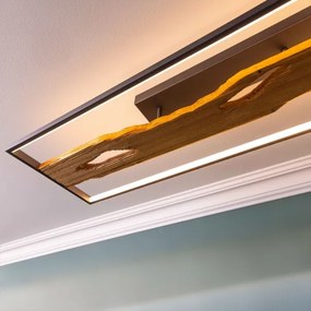 Brilliant - LED Dimmelhető mennyezeti lámpa CHAUMONT LED/48W/230V