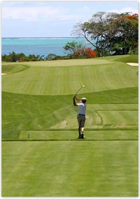 Poszterek 70x100 Golfozó a mezőn