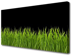 Vászonkép Green Grass Nature 120x60 cm