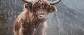 Kép - Highlander tehén (120x50 cm)