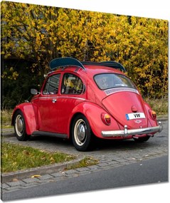 Vászonkép 80x80 Bogár Volkswagen Vw Auto
