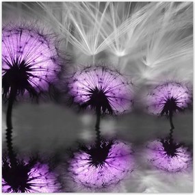 Plakátok 100x100 Reflection in the water Sárkányok