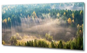 Üvegfotó Köd az erdőben osh-104886541
