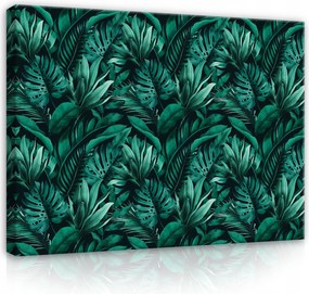Vászonkép 100x75 Trópusi levelek monstera zöld természet dzsungel egzotikus