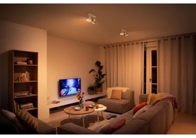 Philips 50602/31/P0 - LED Spotlámpa BUKKO 2xLED/4,5W/230V