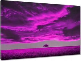 Festmények 120x80 Lila tájkép