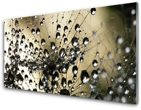 Akril üveg kép pitypang növény 100x50 cm