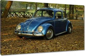 Vászonkép 120x70 Bogár Vw autó]