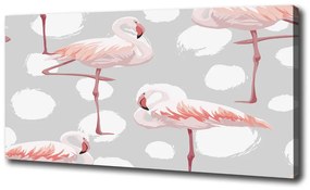 Vászonkép Flamingók oc-114969218