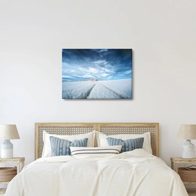 Mezőkép (70x50 cm)