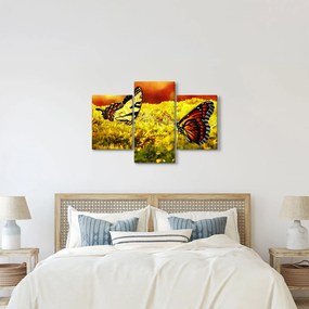 Pillangó képe (90x60 cm)