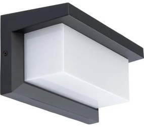 LED Kültéri fali lámpa NEELY 1xE27/9W/230V 4000K IP54 antracit