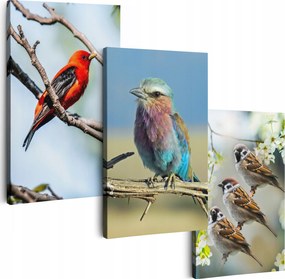 Vászonkép 180 cm **többféle minta** Nappali Képek Triptichon Madarak