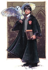 Művészi plakát Harry Potter with Hedvig - Art, (26.7 x 40 cm)