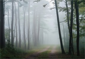 Fotótapéta Erdő Természet Táj Hálószoba Nappali Tapéta Flizelina 300x210