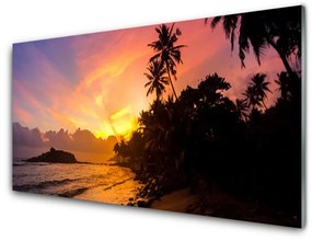 Akrilkép Sea Sun Palm Landscape 100x50 cm