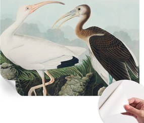 Öntapadós fotótapéta Nappaliba és Hálószobába Madárpár 152x104 cm