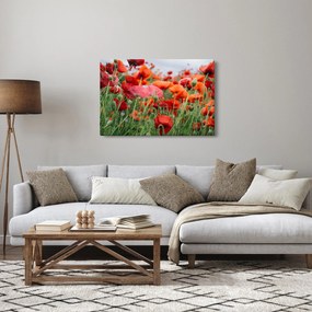 Egy kép a pipacs mezőről (90x60 cm)