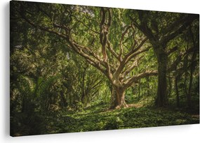 Fa képe (90x60 cm)