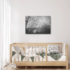 Üveg kép - Mező az eső után (70x50 cm)
