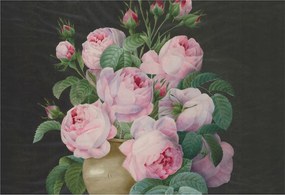 Stílusos Dekoratív fotótapéta Flizelin Virágos elegancia 152x104