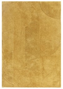 Okkersárga szőnyeg 160x230 cm Tova – Asiatic Carpets