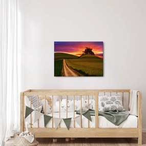 Mező és a színes ég képe (70x50 cm)