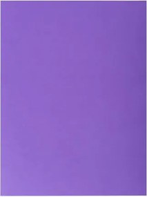 Irattároló mappa, 2 zsebes, A4, 25 db, EXACOMPTA Rock's, 5 különböző szín (EX415000E)