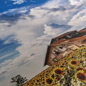 Napraforgó mező képe (90x60 cm)