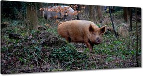 Vászonkép 180x90 Állatok