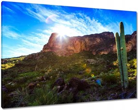Vászonkép 100x70 Tájkép kaktuszokkal