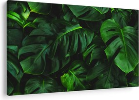 Monstery levelek képe (90x60 cm)