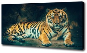 Vászonkép Tiger cave oc-121530926