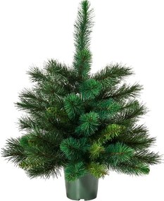 TREE OF THE MONTH műfenyő, 60 cm