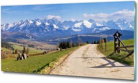 Fotó üvegkép Trópusi tengerpart 125x50