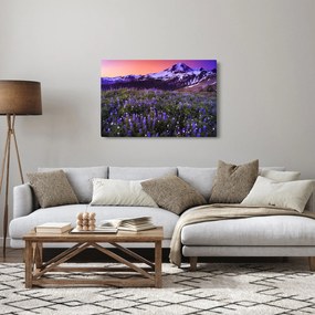 Kép - Vulkán és a virágok (90x60 cm)