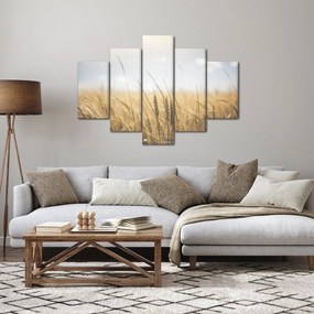 A gabona képe (150x105 cm)