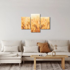 Kép - mező gabonával (90x60 cm)