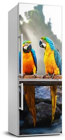 Hűtőre ragasztható matrica Papagájok ara FridgeStick-70x190-f-73798945